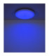 Dwain Flush Ceiling Light Matt White RGB LED 3000/6500K