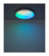 Dwain Flush Ceiling Light Matt White RGB LED 3000/6500K