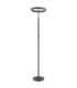 Emanuel LED Integrated Floor Lamp Anthracite LED 4000K-1