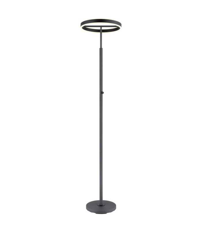 Emanuel LED Integrated Floor Lamp Anthracite LED 4000K-1