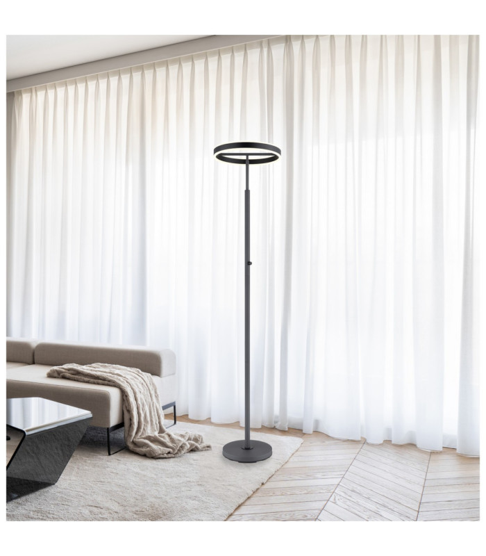 Emanuel LED Integrated Floor Lamp Anthracite LED 4000K-2