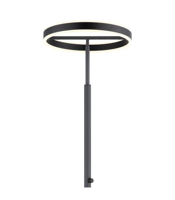 Emanuel LED Integrated Floor Lamp Anthracite LED 4000K-4