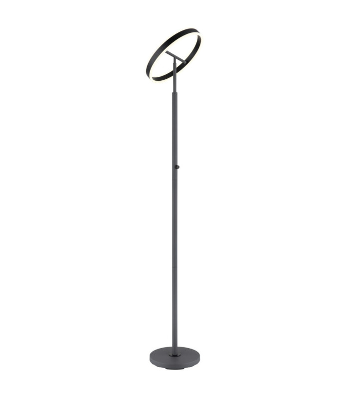 Emanuel LED Integrated Floor Lamp Anthracite LED 4000K-5