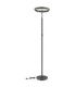Emanuel LED Integrated Floor Lamp Anthracite LED 4000K-6