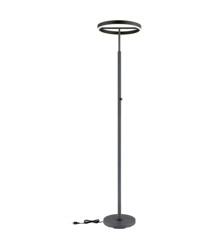 Emanuel LED Integrated Floor Lamp Anthracite LED 4000K-6