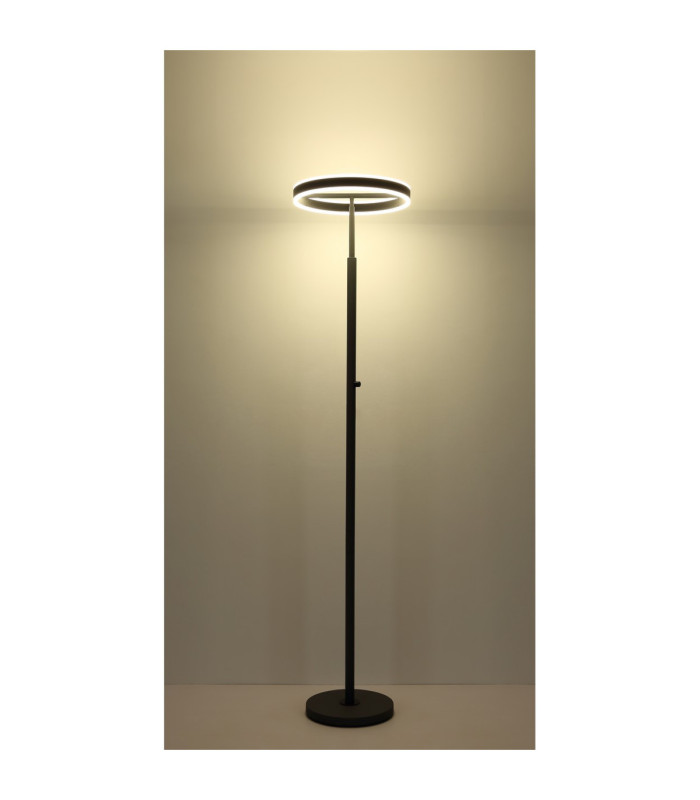 Emanuel LED Integrated Floor Lamp Anthracite LED 4000K-7
