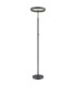 Emanuel LED Integrated Floor Lamp Anthracite LED 4000K-8
