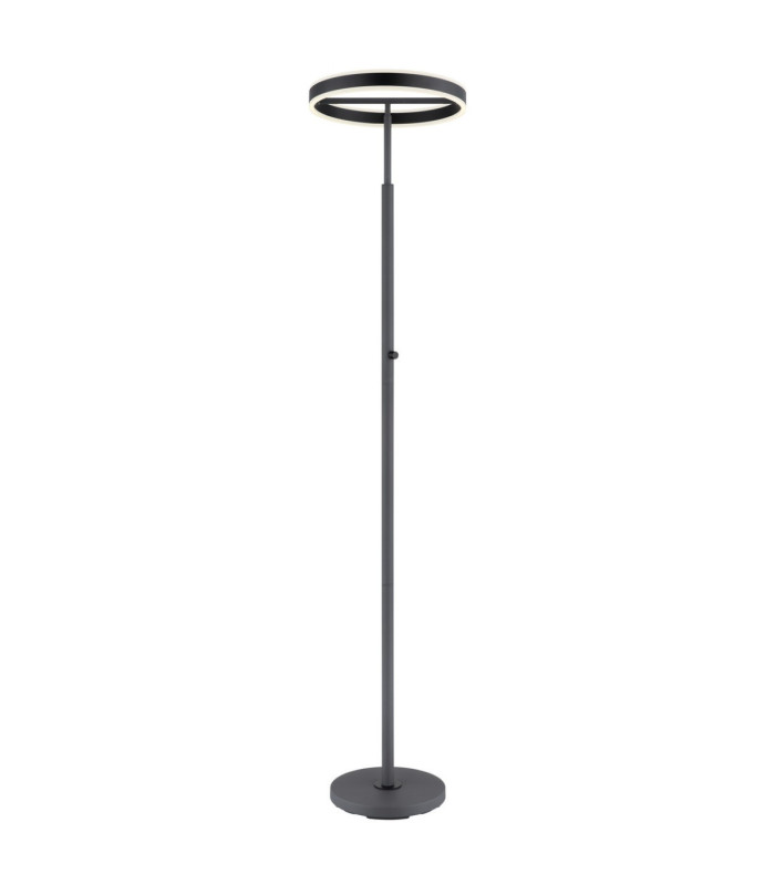 Emanuel LED Integrated Floor Lamp Anthracite LED 4000K-8