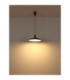 Rocha Dome Pendant Ceiling Light Matt Grey LED 3000/4000/6000K-7