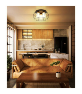 Rowena Wire Semi Flush Ceiling Light Matt Black 3x E27-2