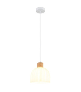 Swanson 20cm Dome Pendant Ceiling Light Matt White Glass Opal Shades E27-1