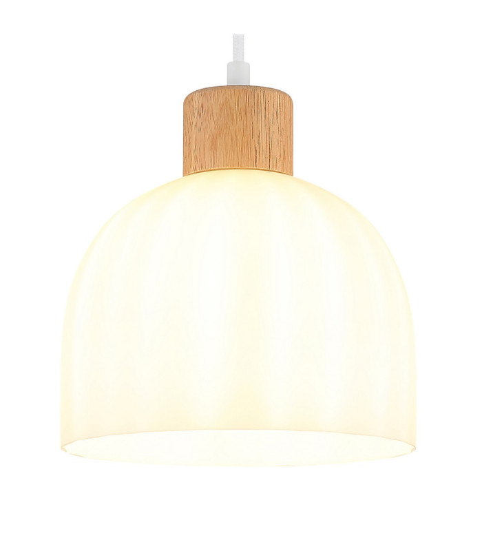 Swanson 20cm Dome Pendant Ceiling Light Matt White Glass Opal Shades E27-4