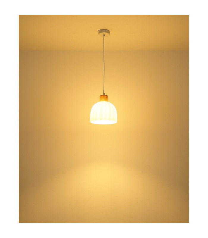 Swanson 20cm Dome Pendant Ceiling Light Matt White Glass Opal Shades E27-5