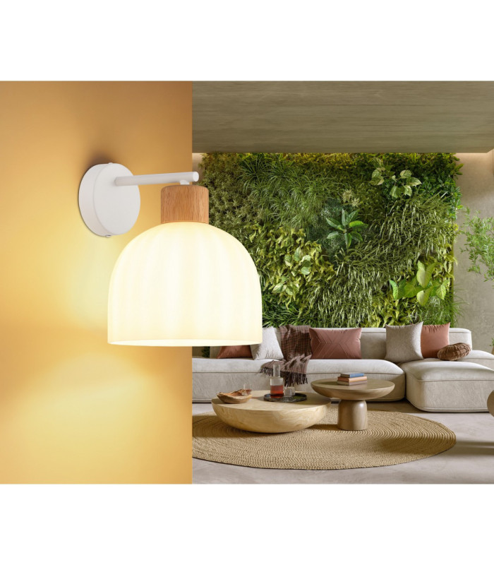 Swanson Dome Wall Lamp Matt White Glass Opal Shades E27-2