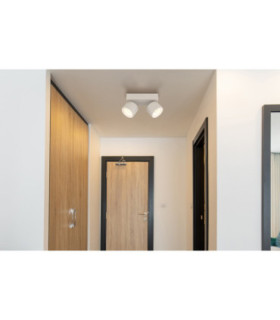 Rae Twin Ceiling Spotlight Matt Sand 2x LED 3000K-2