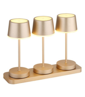 Dawson Table Lamp Matt Champagne RGBW LED 3000K IP54