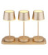 Dawson Table Lamp Matt Champagne RGBW LED 3000K IP54