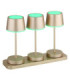 Dawson Table Lamp Matt Champagne RGBW LED 3000K IP54