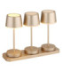 Dawson Table Lamp Matt Champagne RGBW LED 3000K IP54
