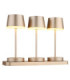 Dawson Table Lamp Matt Champagne RGBW LED 3000K IP54