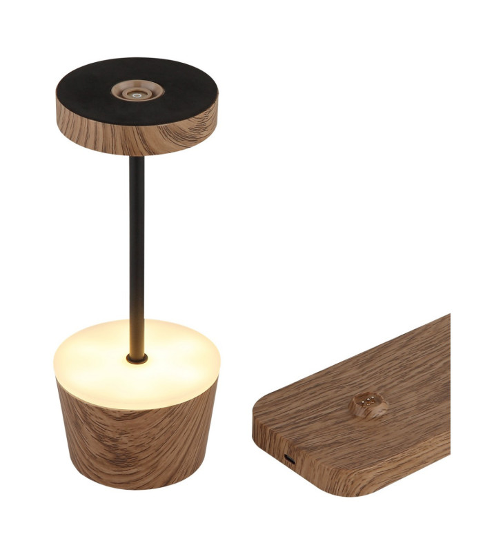 Dawson Table Lamp Dark Wood RGBW LED 3000K IP54