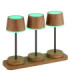 Dawson Table Lamp Dark Wood RGBW LED 3000K IP54