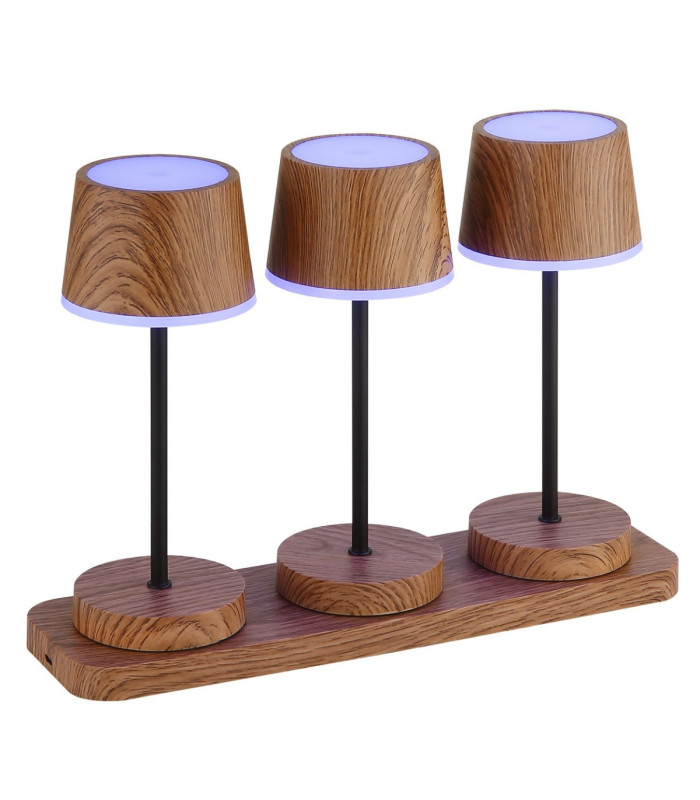 Dawson Table Lamp Dark Wood RGBW LED 3000K IP54