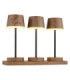 Dawson Table Lamp Dark Wood RGBW LED 3000K IP54