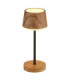 Dawson Table Lamp Dark Wood RGBW LED 3000K IP54