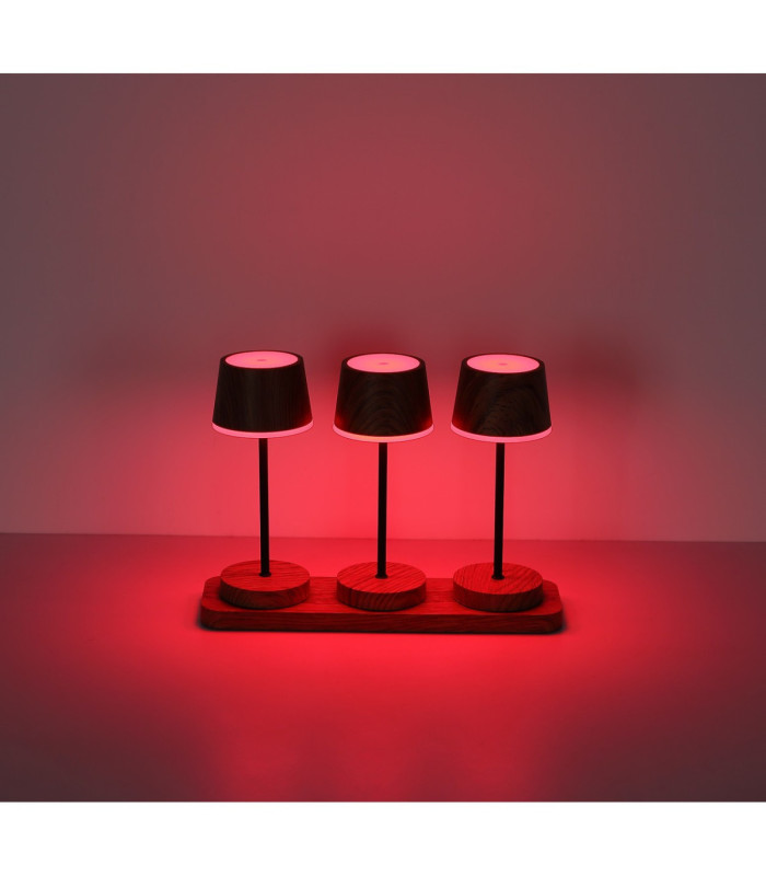 Dawson Table Lamp Dark Wood RGBW LED 3000K IP54