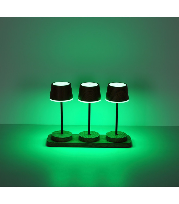 Dawson Table Lamp Dark Wood RGBW LED 3000K IP54