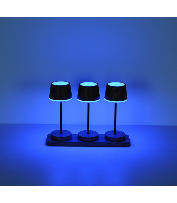 Dawson Table Lamp Dark Wood RGBW LED 3000K IP54