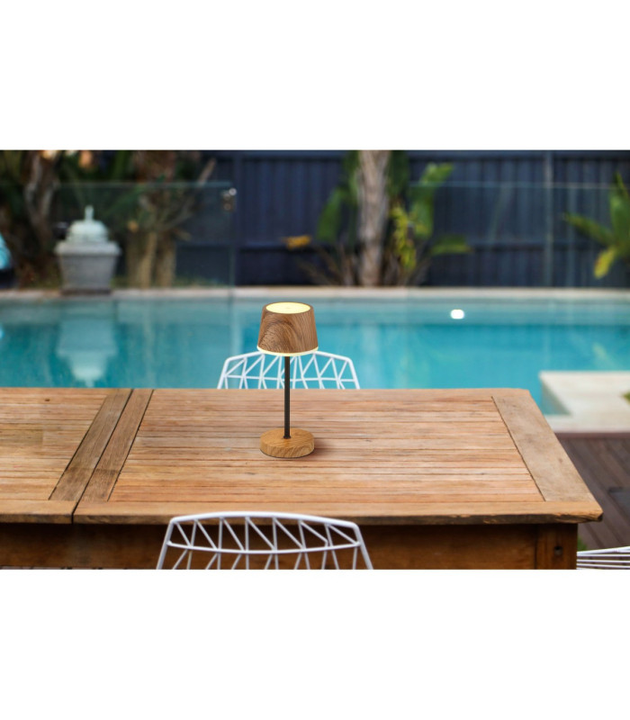 Dawson Table Lamp Dark Wood RGBW LED 3000K IP54