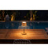 Dawson Table Lamp Dark Wood RGBW LED 3000K IP54