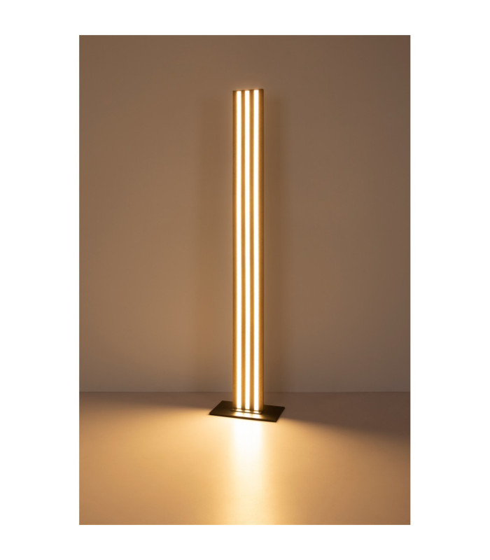 Hayden LED Integrated Floor Lamp Matt Black LED 3000K-6