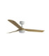 Punt 130cm LED Ceiling Fan White Light Wood Blades-1