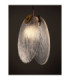 Shelina Pendant Ceiling Light Antique Brass LED 2W 130lm 3000K-9