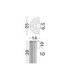 Nol Wall Lamp Antique Brass LED 11W 715lm 3000K-8