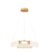 Aider Integrated LED Pendant Ceiling Light Brass Gold Triac Dimmable LED 34W 2146lm 3000K-1