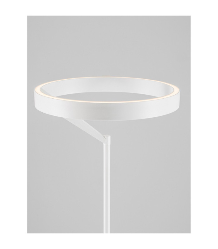 Adaliz LED Integrated Floor Lamp Sandy White Dimmable LED 38W 1623lm 3000K-6