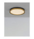 Cantria Flush Ceiling Light Black Brass Gold LED 31W 1916lm 3000K-4