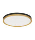 Cantria Flush Ceiling Light Black Brass Gold LED 38W 2198lm 3000K-1