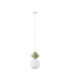 Clio Short Slim Pendant Ceiling Light Green Matt White E14 1x5W-1