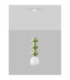 Clio Tall Slim Pendant Ceiling Light Green Matt White E14 1x5W-3