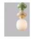Clio Slim Pendant Ceiling Light Green Yellow Matt White E14 1x5W-5