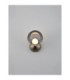 Silenzio Globe Wall Lights Brushed Nickel Smokey LED 6W 265lm 3000K-4
