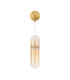 Norma Wall Lamp Amber Glossy Gold Triac Dimmable LED 7W 490lm 3000K-1