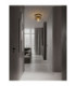 Ebony 24.5cm Globe Ceiling Light Smokey Grey Matt Black E27 1x12W-2
