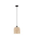 Intra Dome Pendant Ceiling Light Black Natural E27 1x12W-1