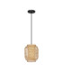 Asma 20cm Wire Frame Pendant Ceiling Light Sandy Black E27 1x12W-1